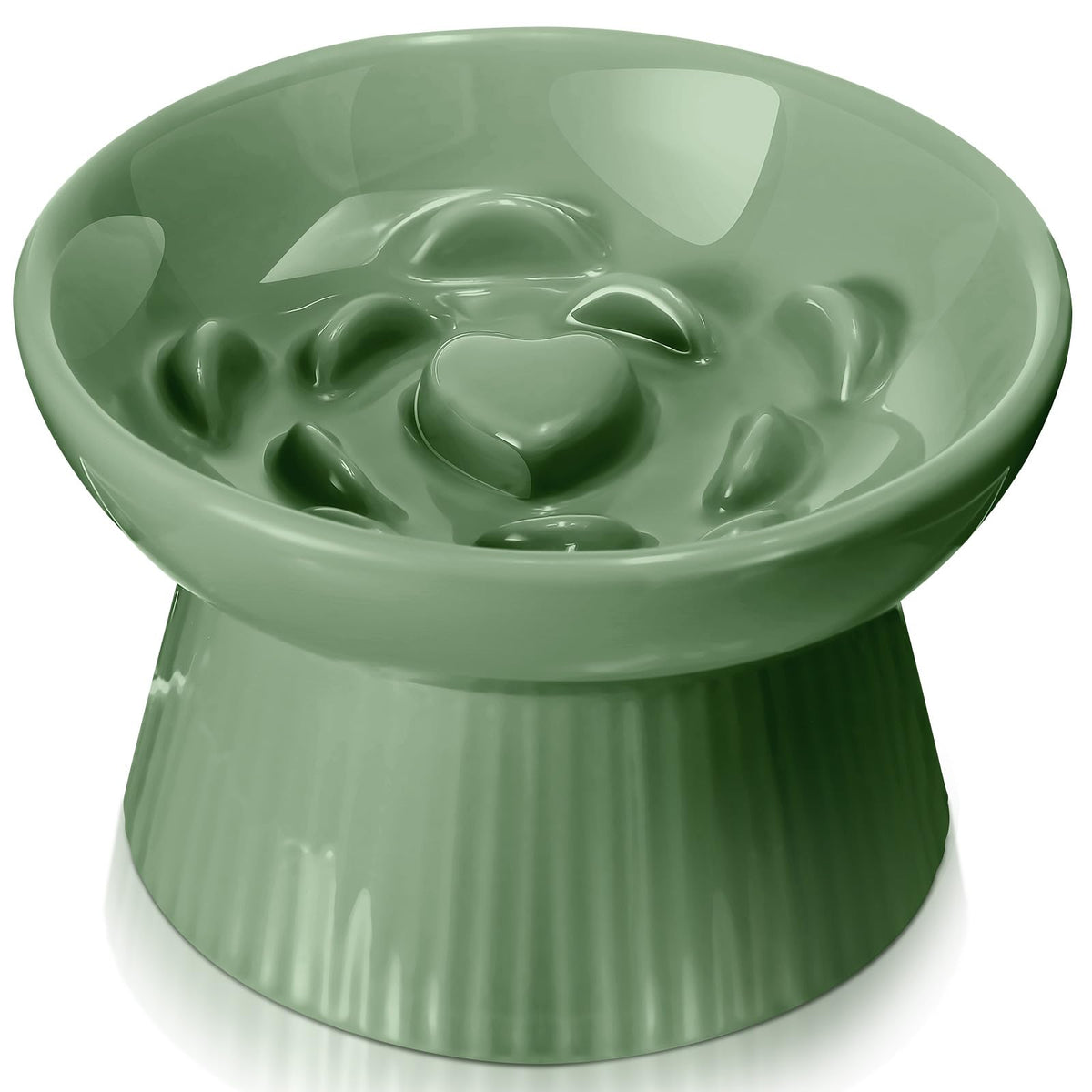 Tioncy Raised Slow Feeder