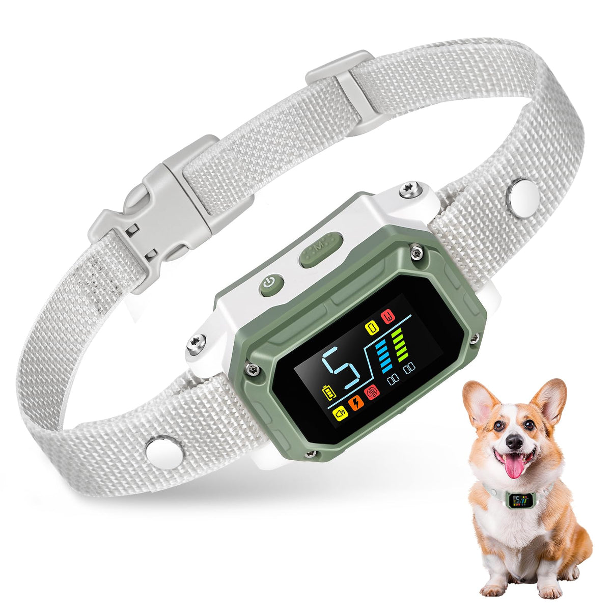 smart dog collar