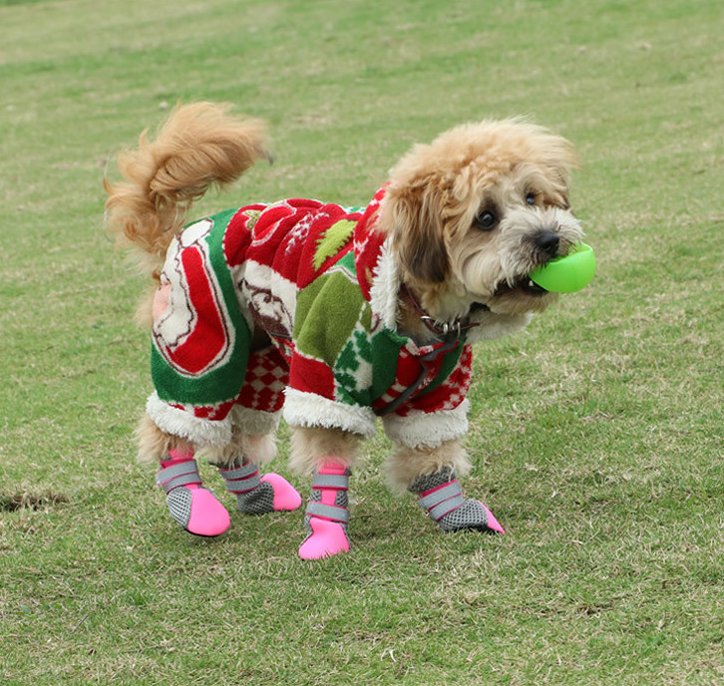 Dog Walking Shoes for Pets