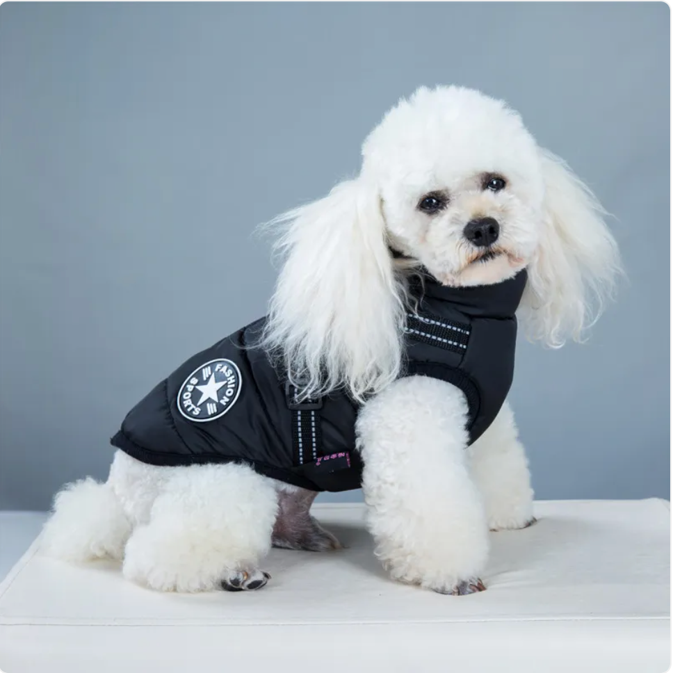 Cushioned Pet Ski Jacket