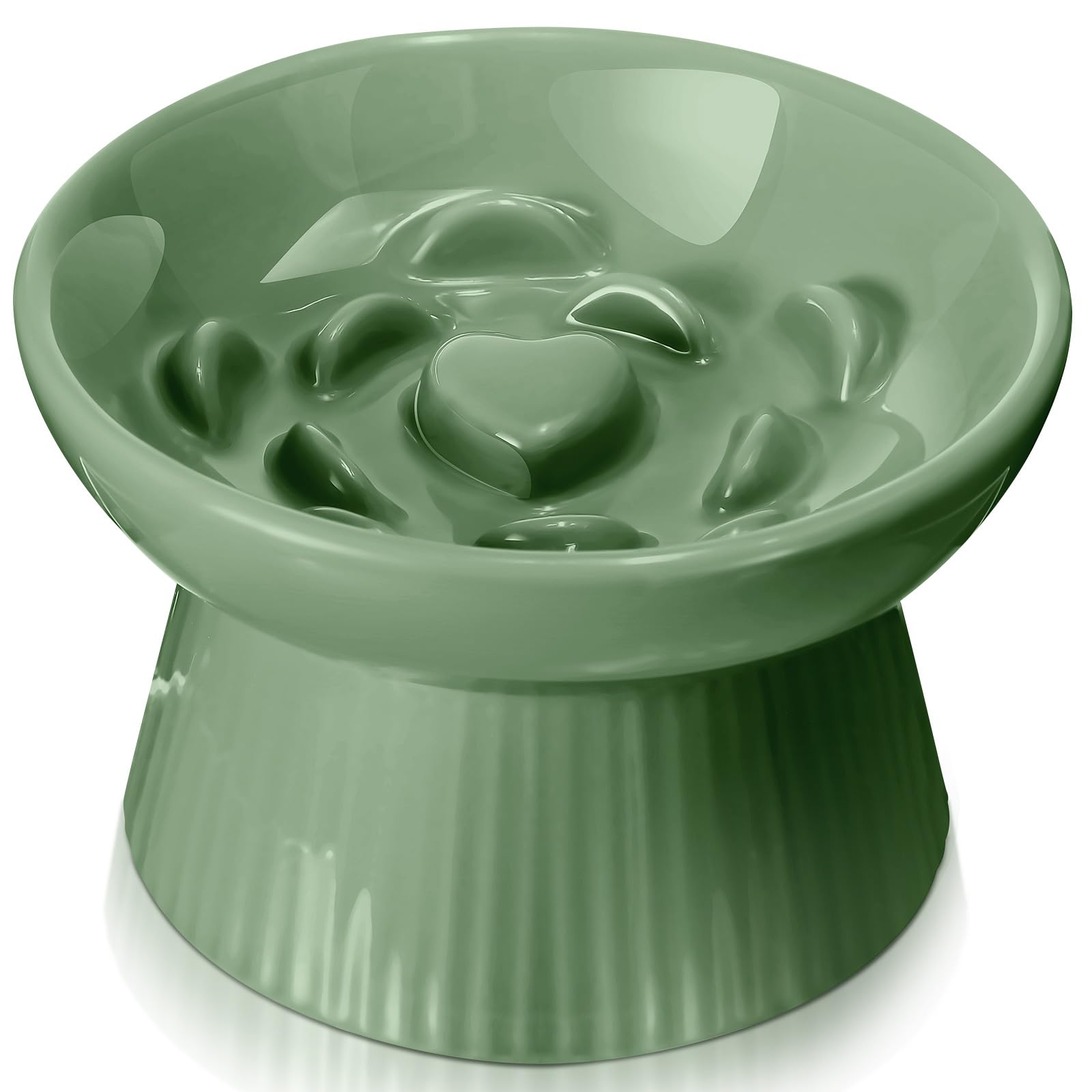 Tioncy Raised Slow Feeder