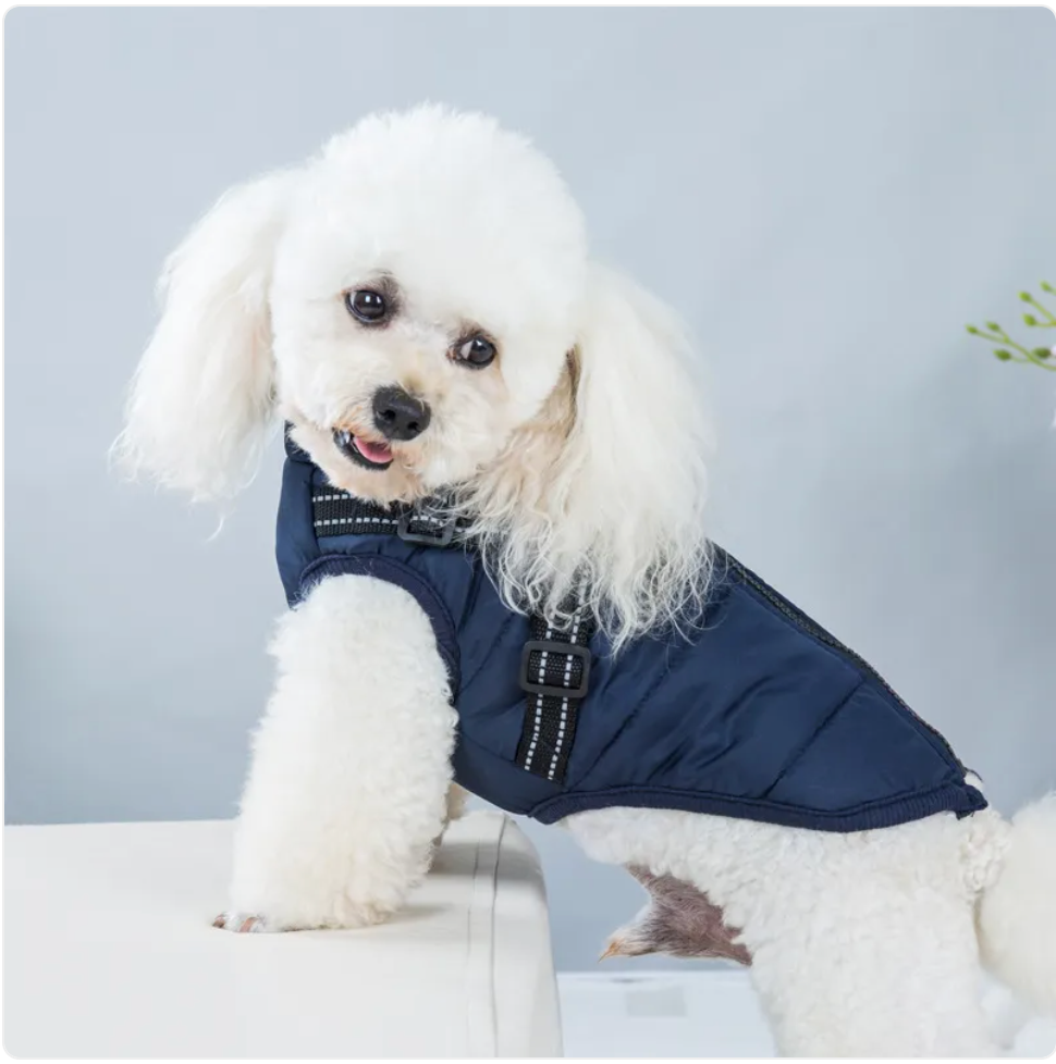 Cushioned Pet Ski Jacket