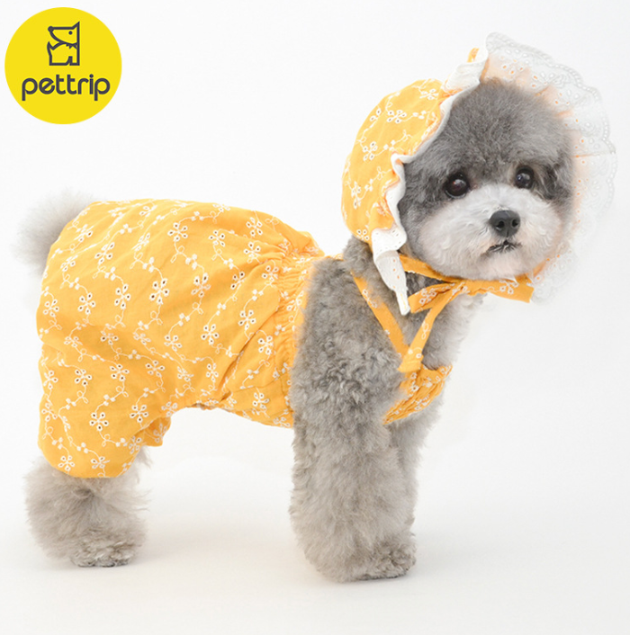 Puppy Hat Ornament for Pets