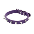 Serijoars Spiked Pet Collar