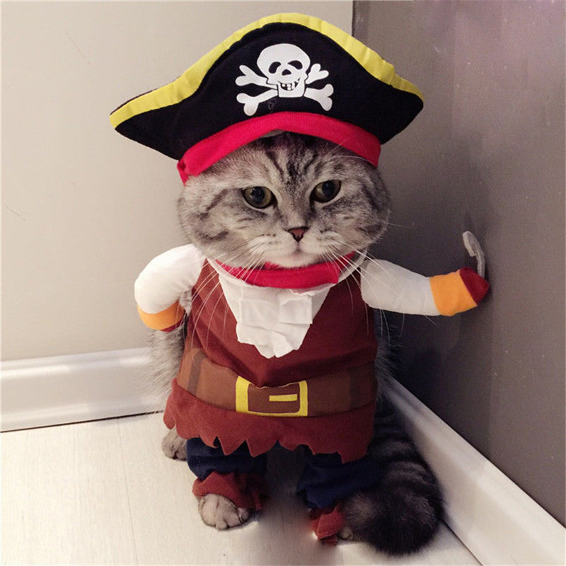 cat costume