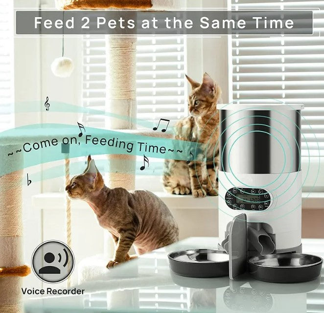 Chic Auto Pet Feeder