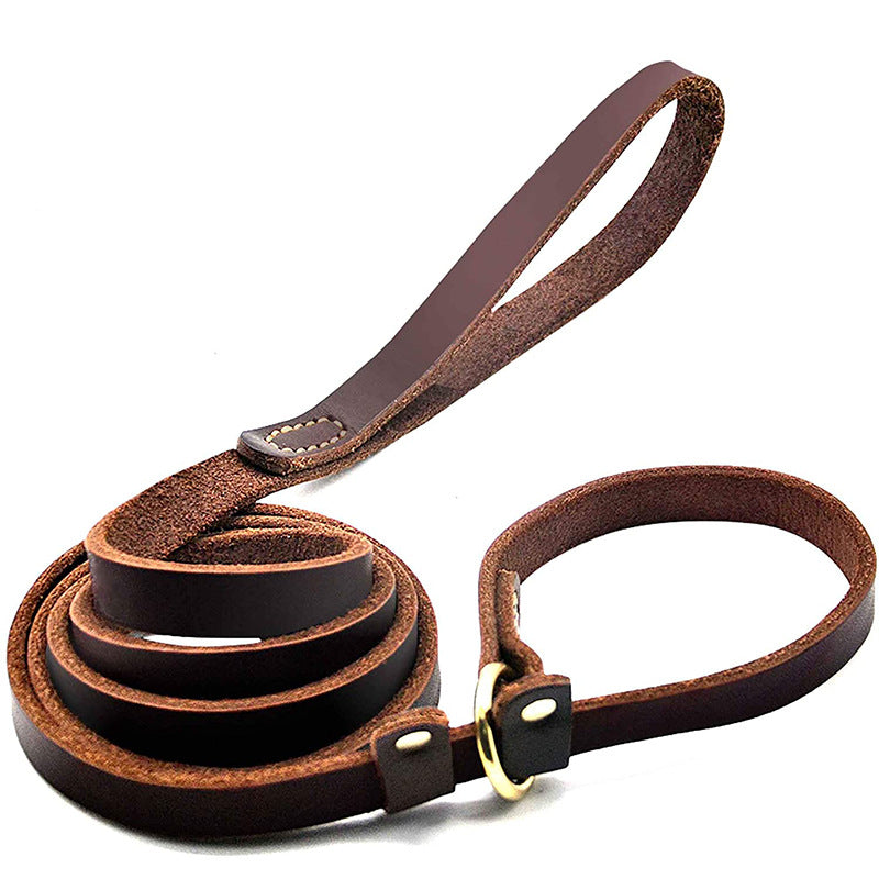 Anti-Breakaway Traction Rope for Pets