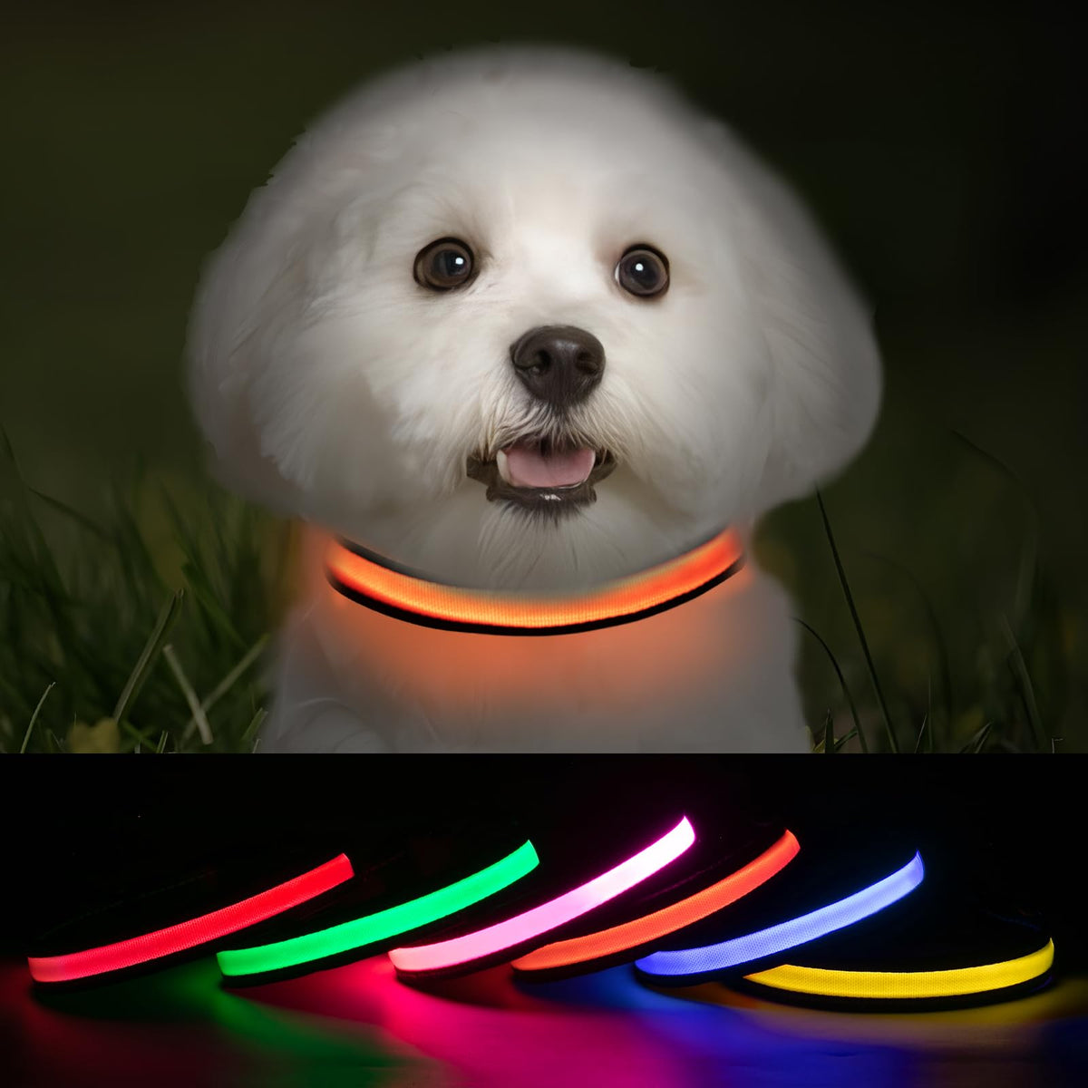 ROUWINNE LED Glow Collar