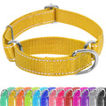 Seyezo Martingale Dog Collar