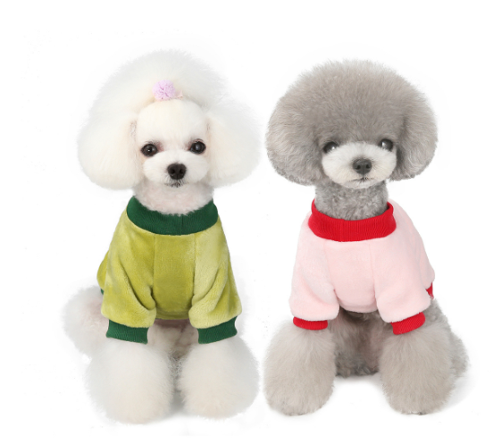 Fruit Fleece Dog Clothes for Pets