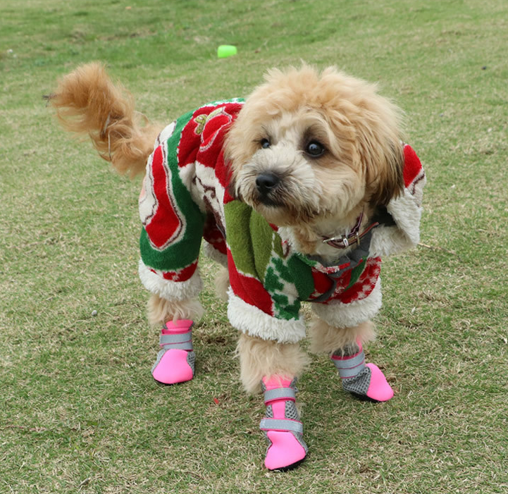 Dog Walking Shoes for Pets