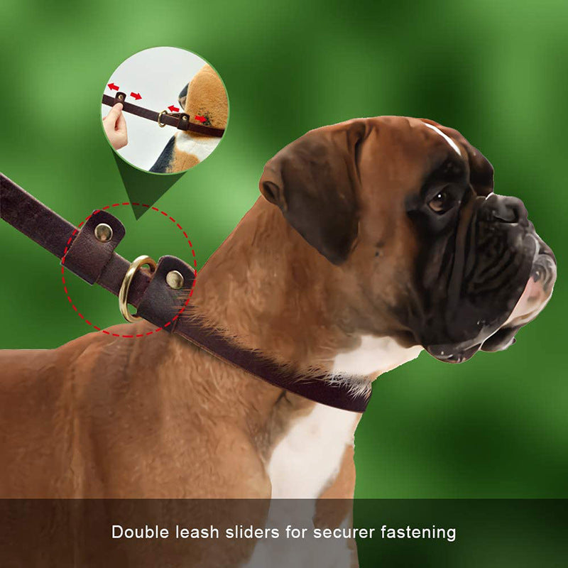 Anti-Breakaway Traction Rope for Pets