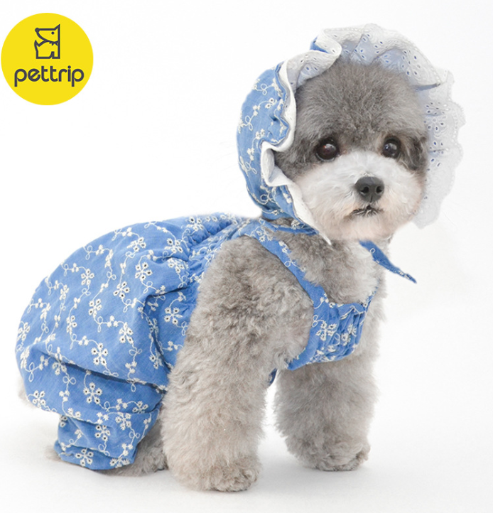 Puppy Hat Ornament for Pets