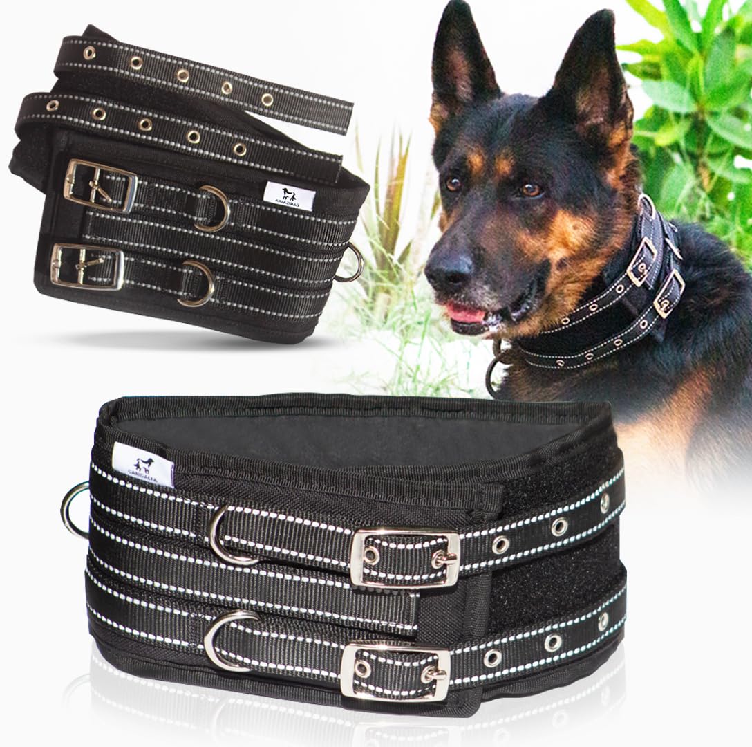 CANISALFA Tactical Dog Collar