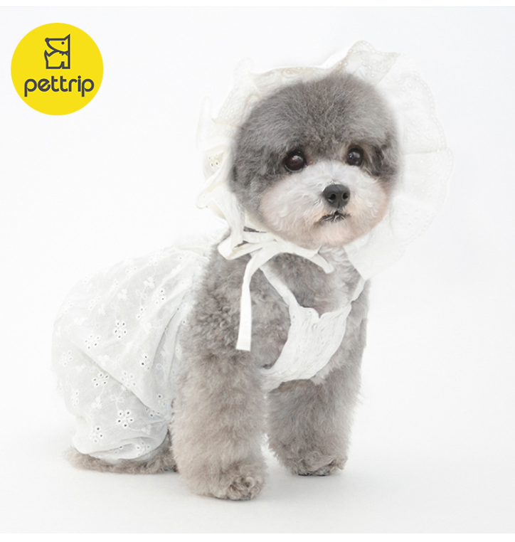 Puppy Hat Ornament for Pets